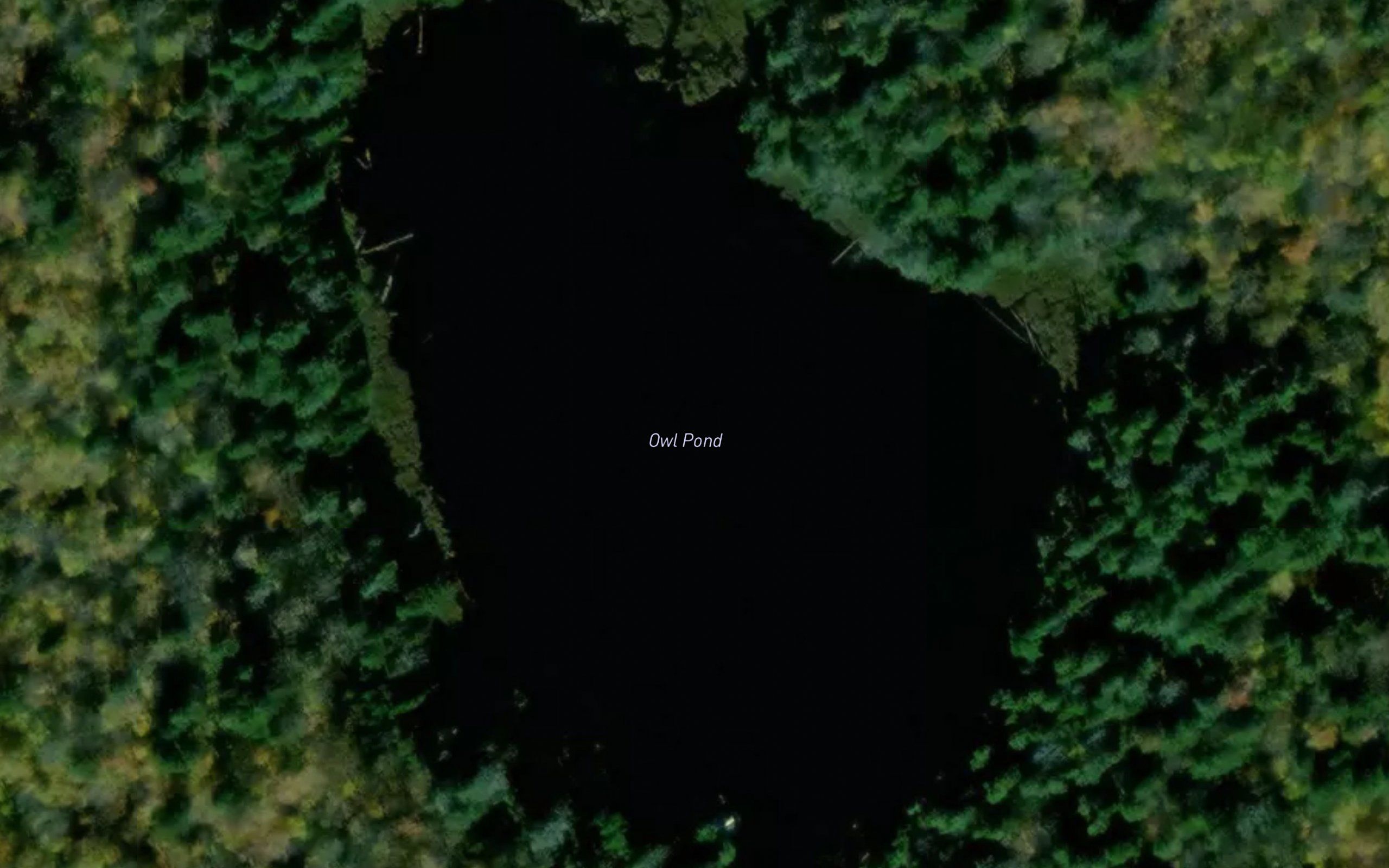 Owl Pond
