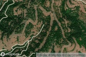 Big Tamarack Spring