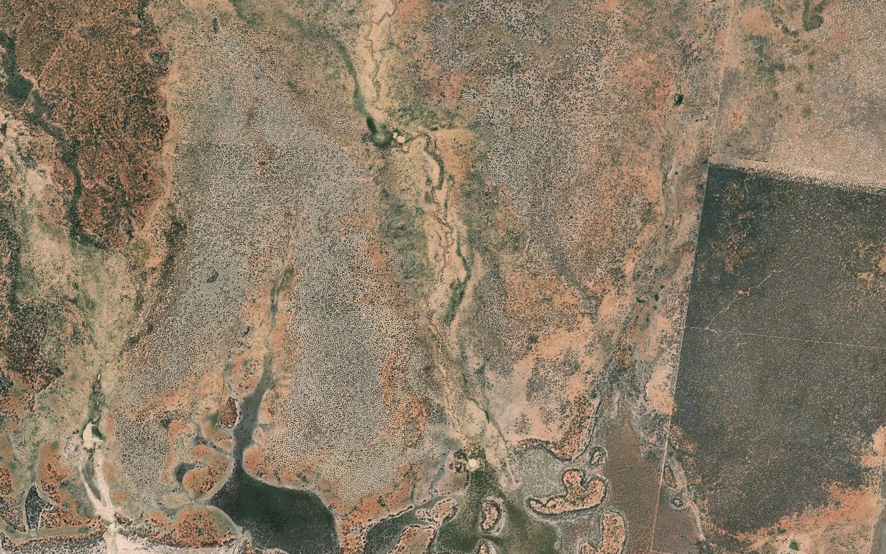Satellite map of the Scrubby Creek