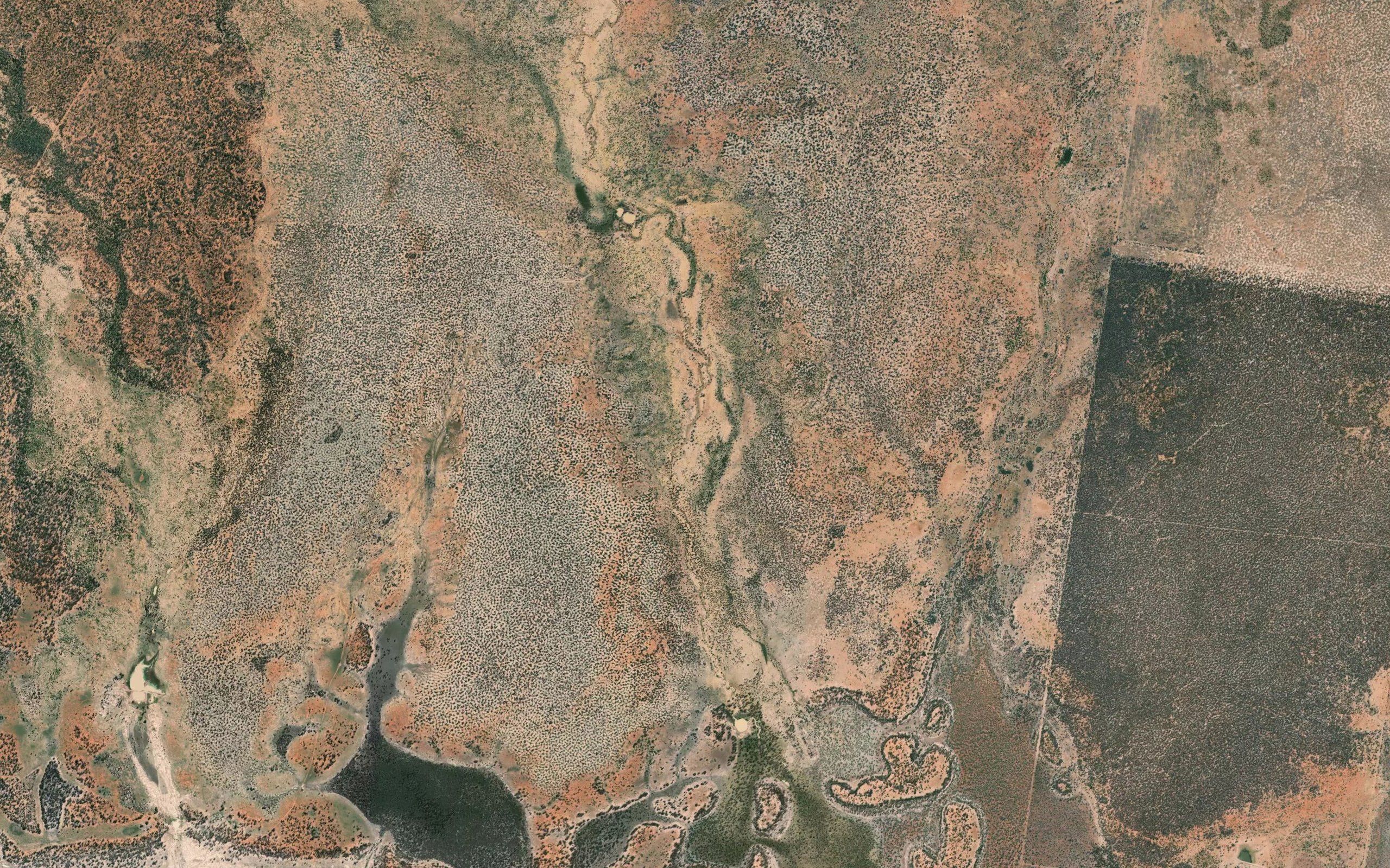 Scrubby Creek