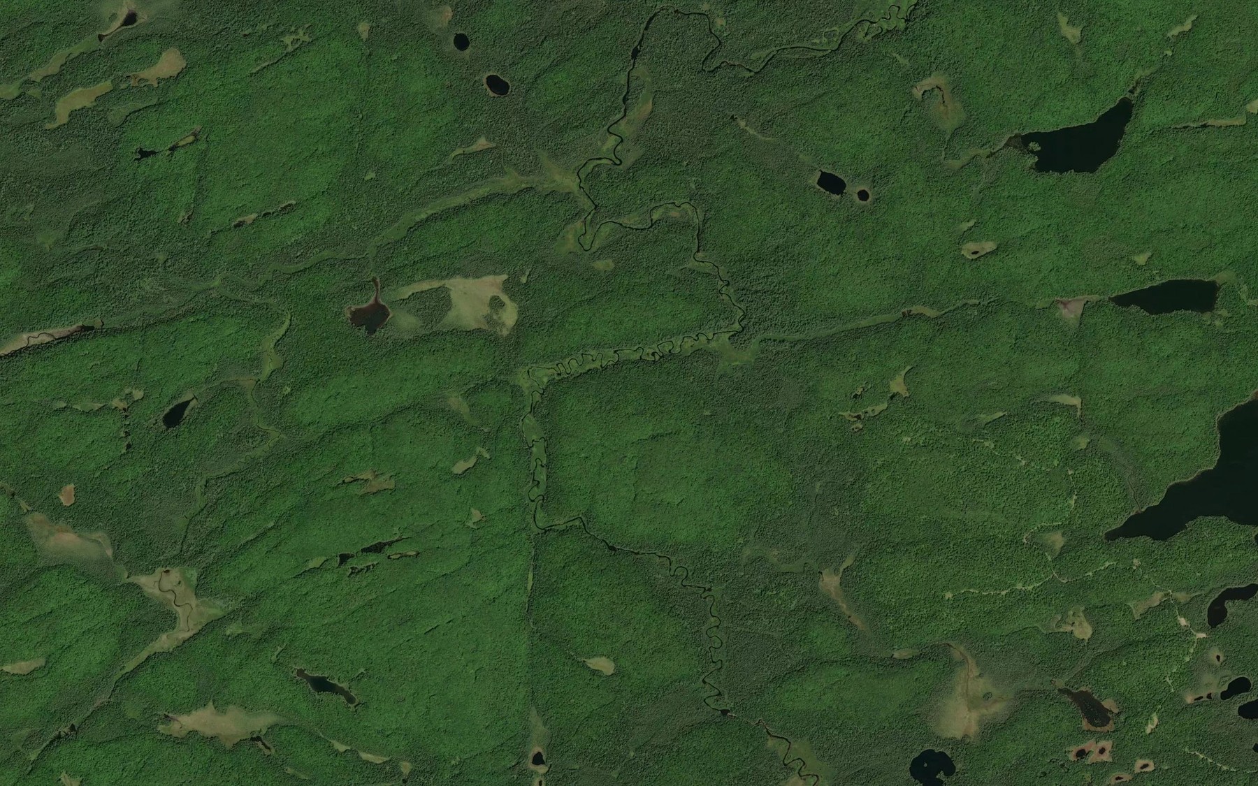 Satellite map of the Beaverpaw Creek