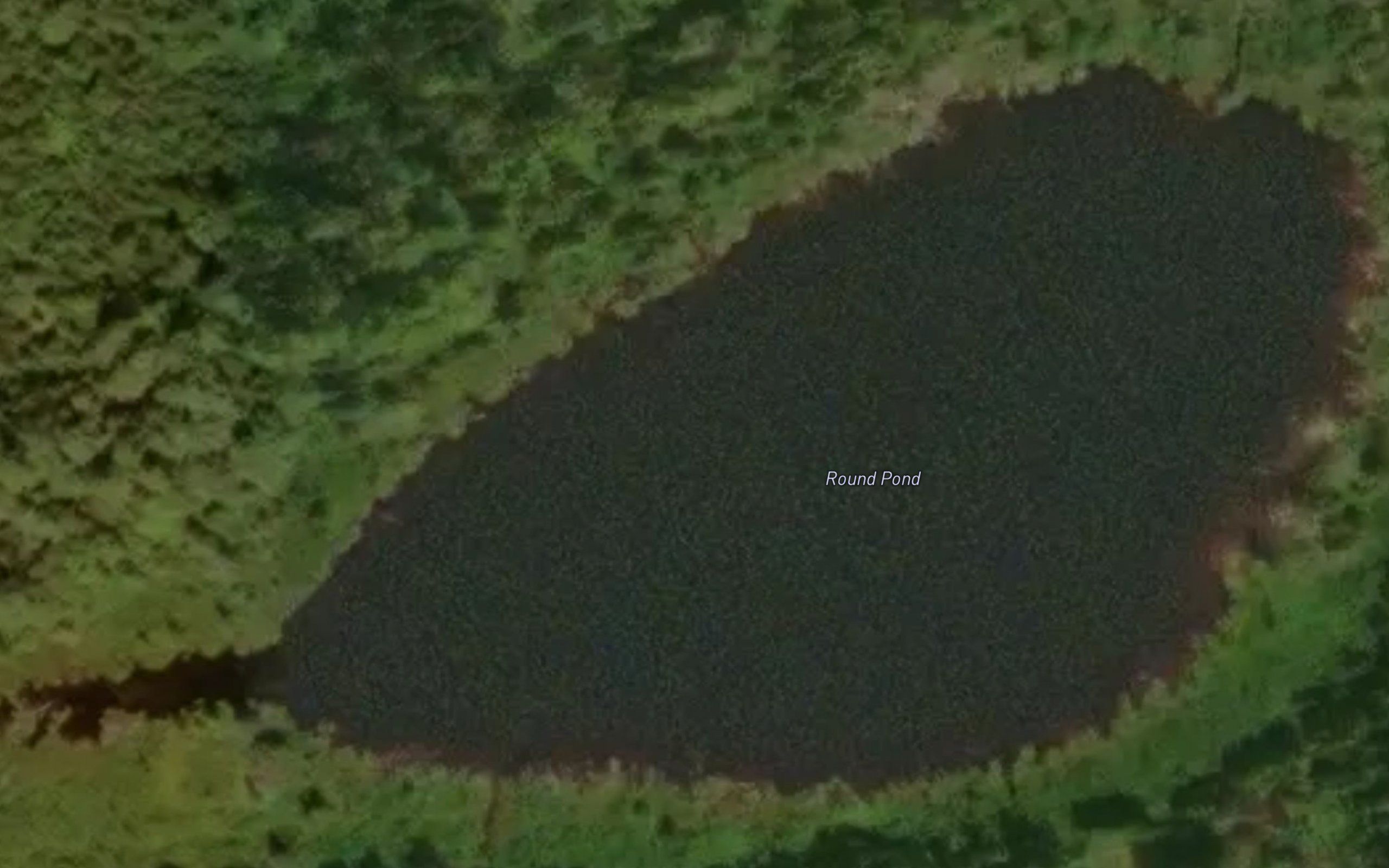 Round Pond