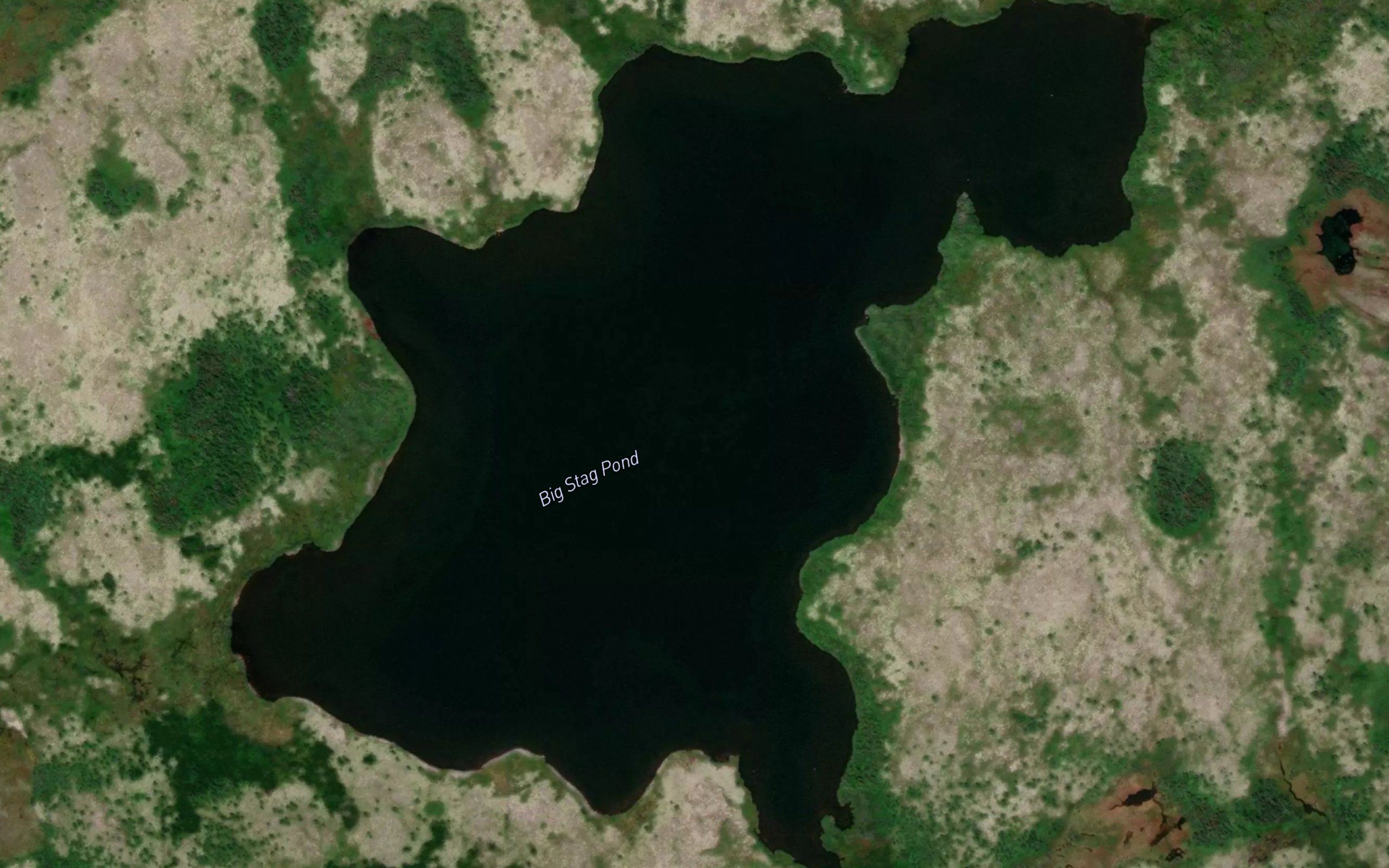 Big Stag Pond