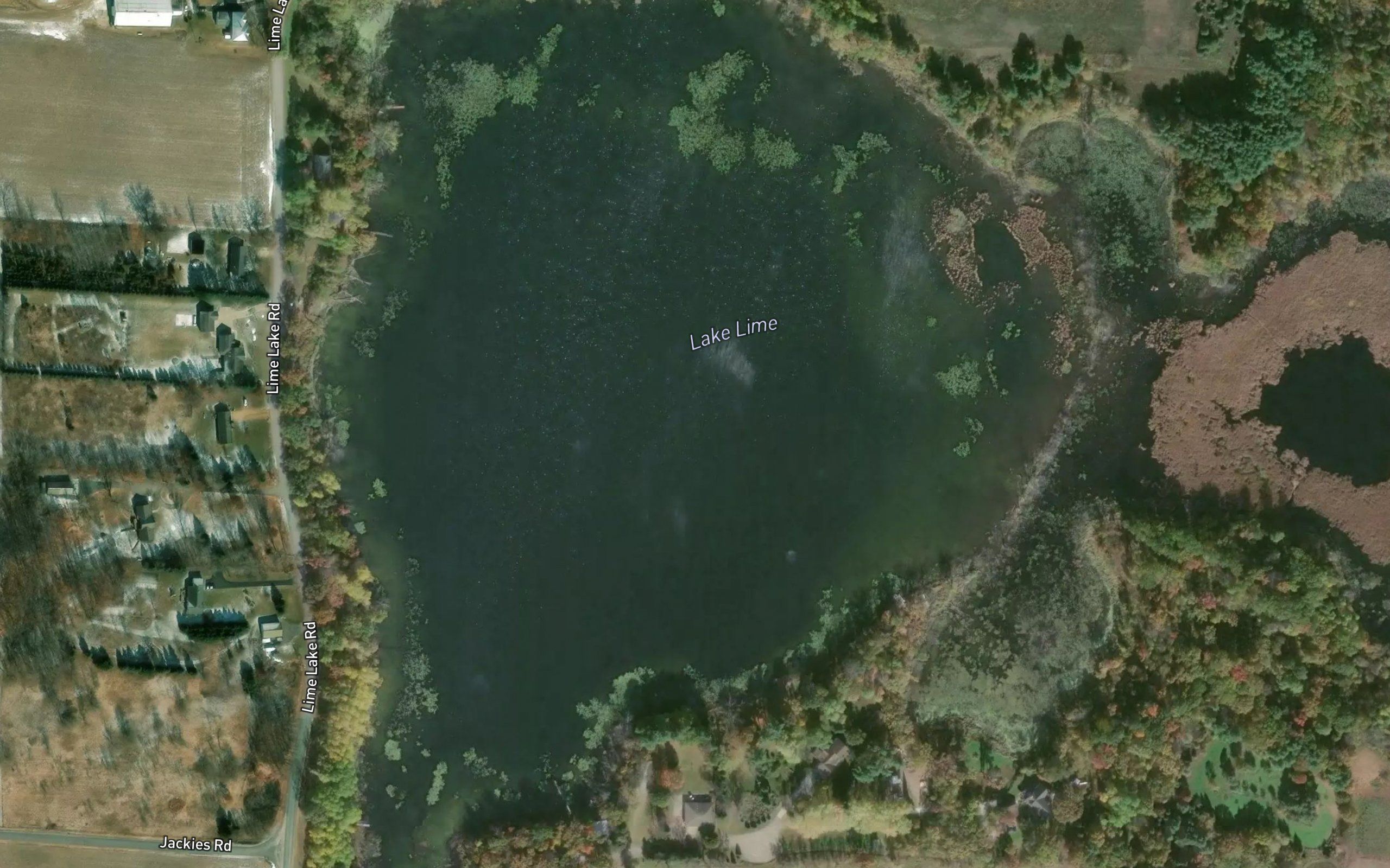Lake Lime