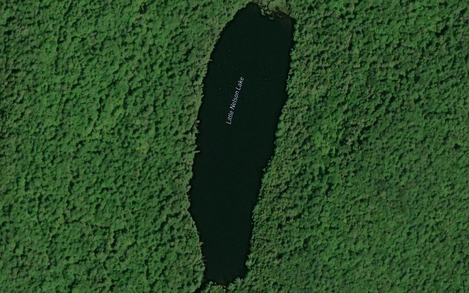 Satellite map of the Little Nelson Lake