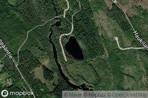 Valkealampi
