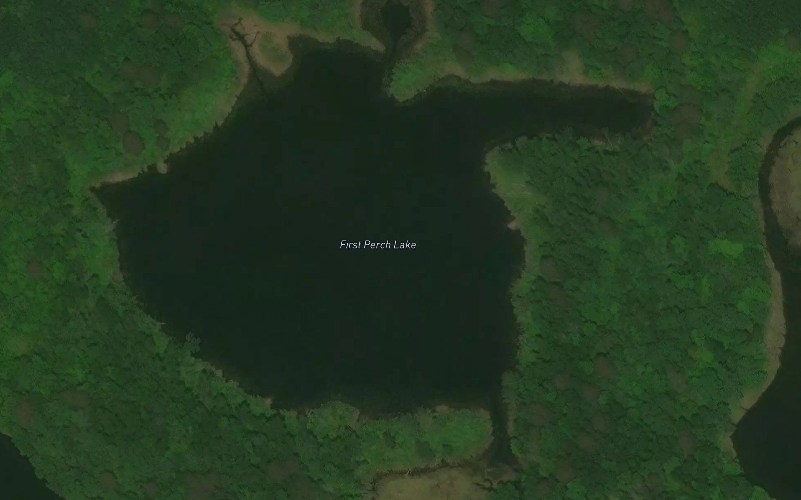 First Perch Lake
