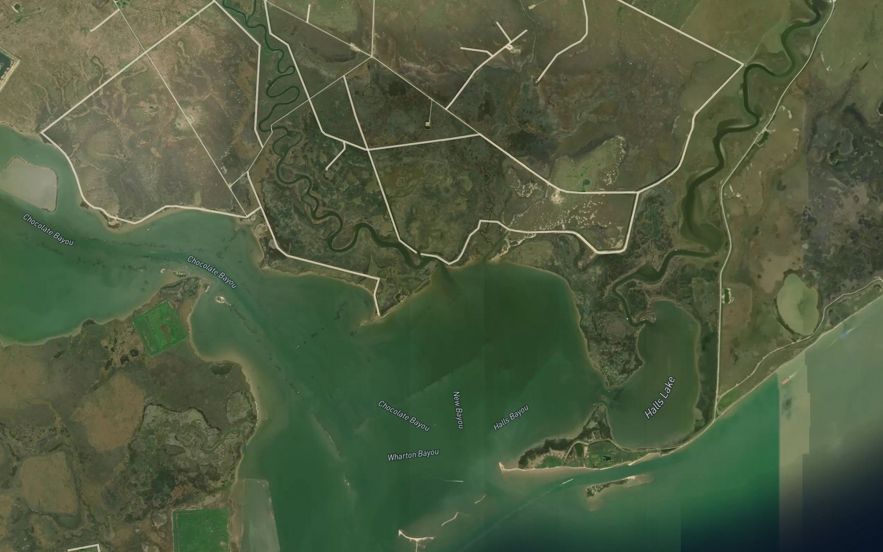 Satellite map of the New Bayou