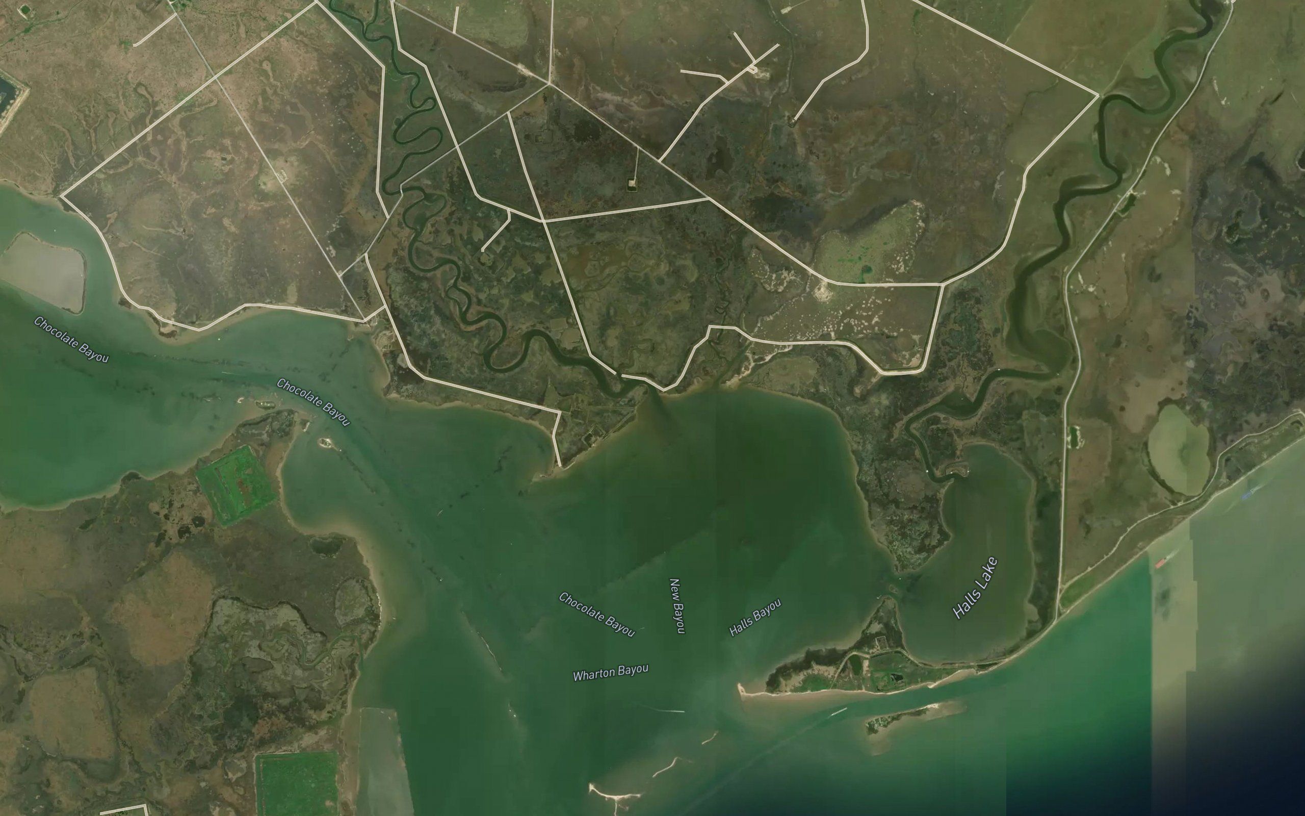 New Bayou