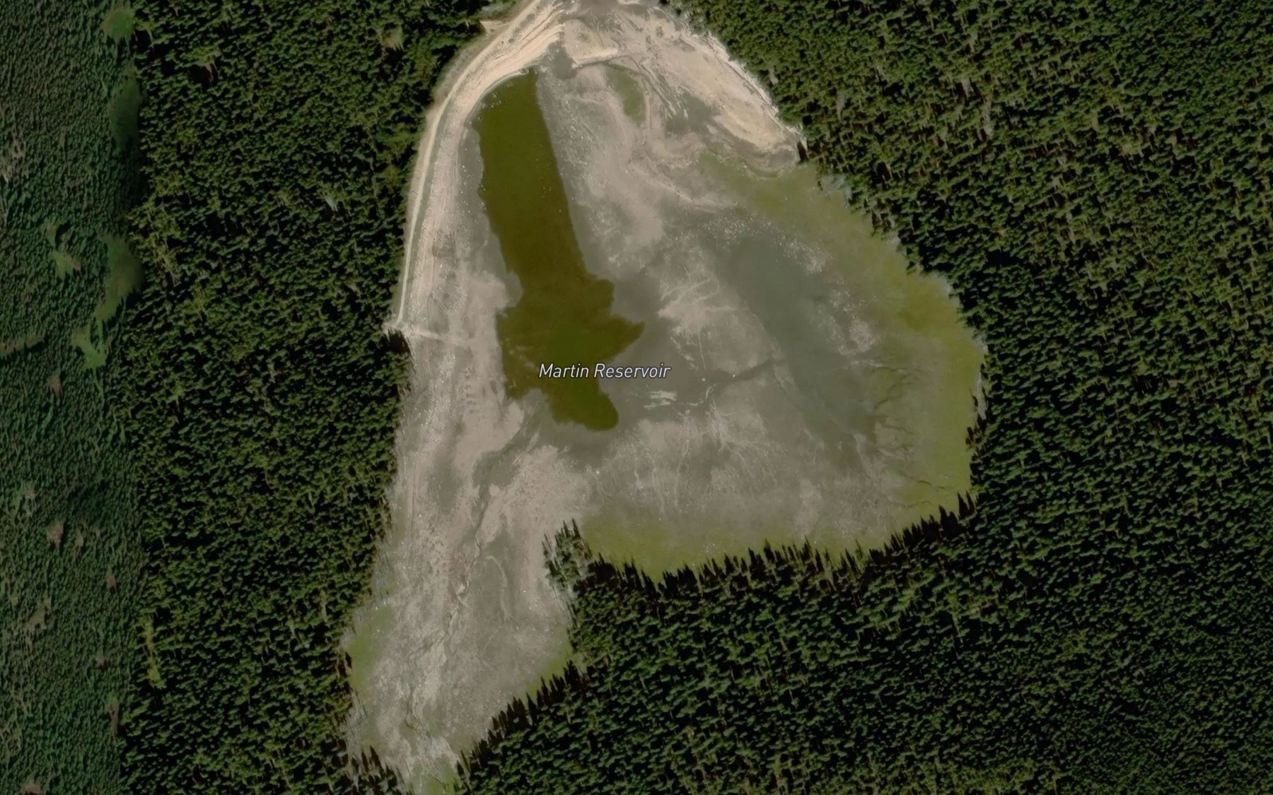 Satellite map of the Martin Reservoir