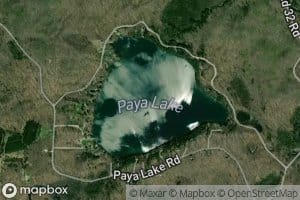 Paya Lake