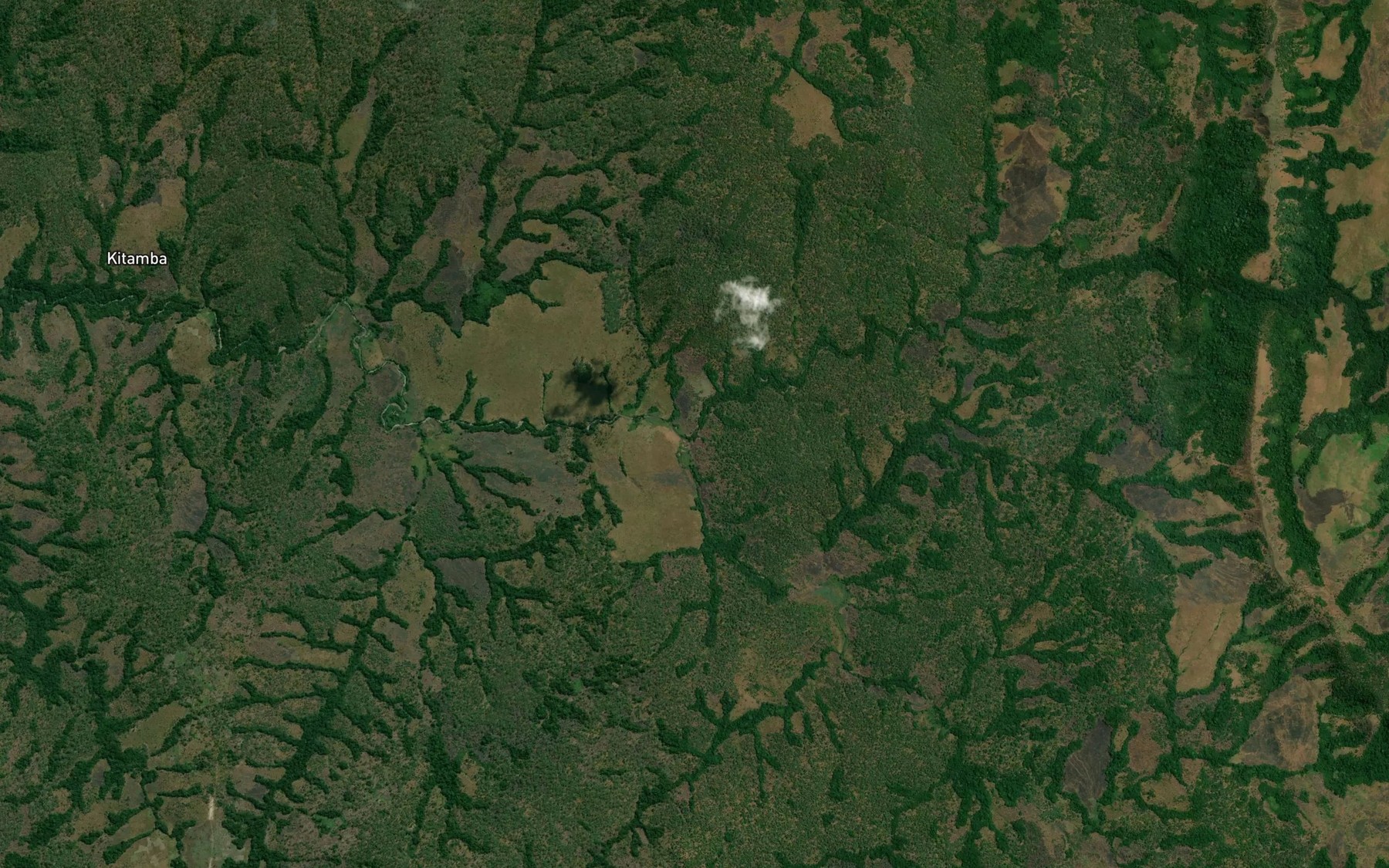 Satellite map of the Luyabulu