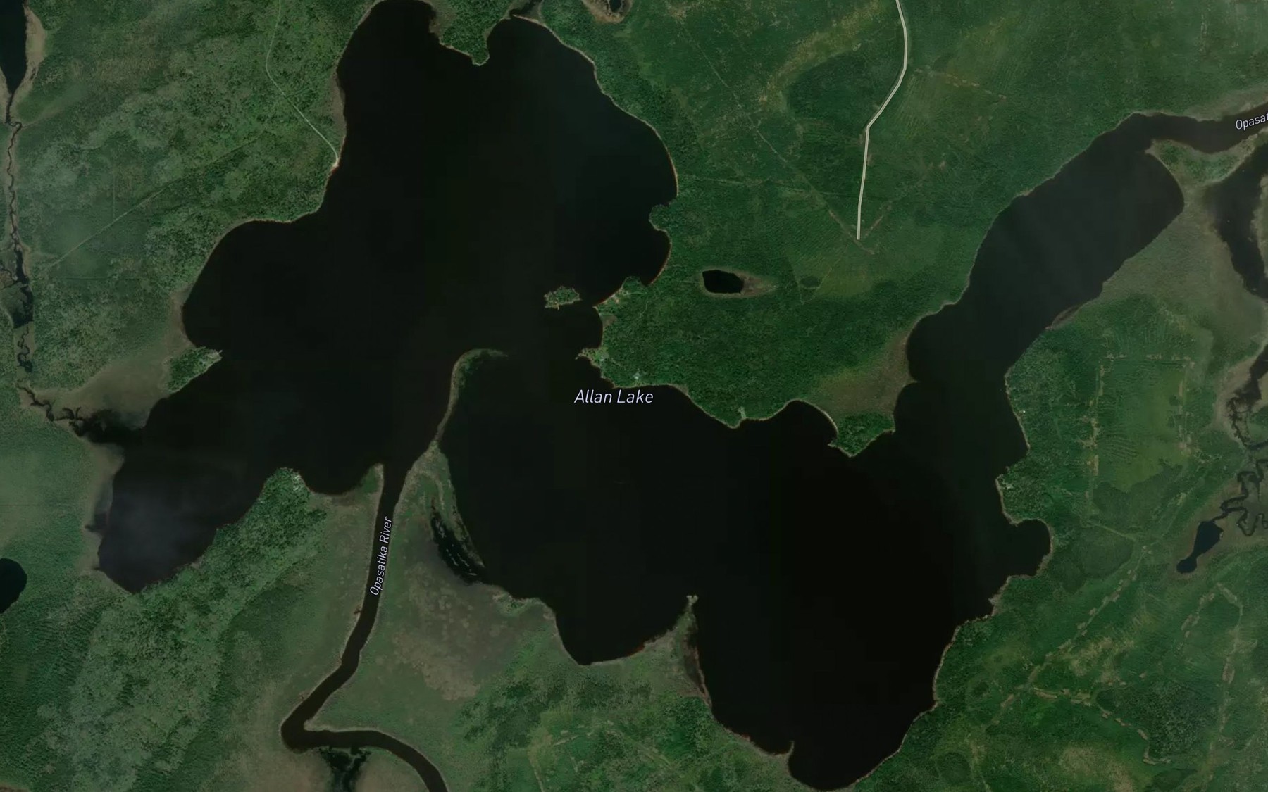 Satellite map of the Allan Lake