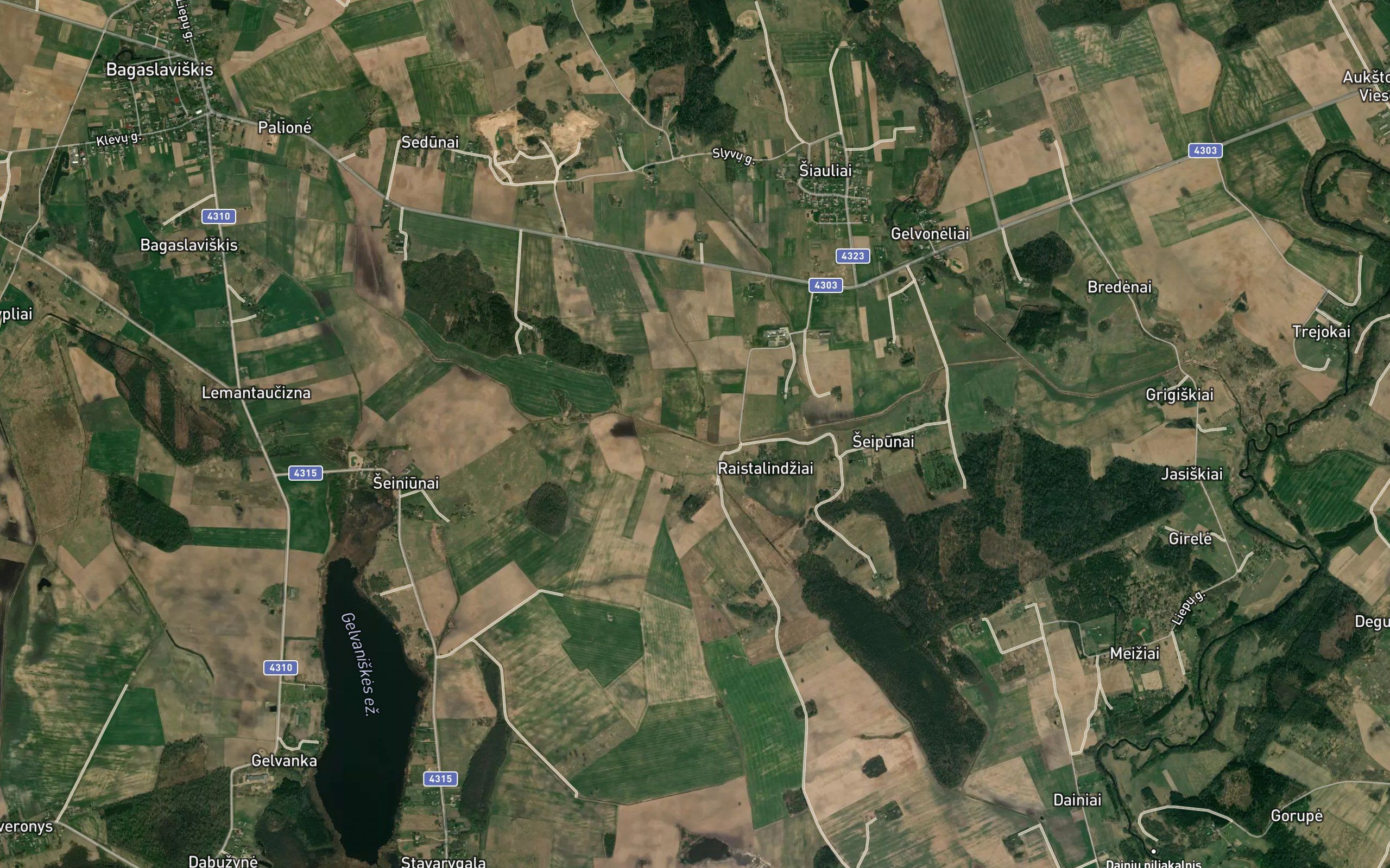 Lapavaine