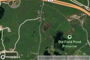 Gibbs Pond (historical)