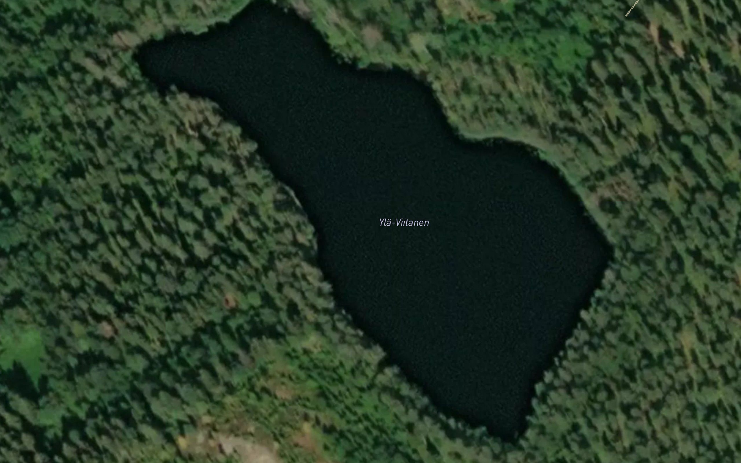 Yla-Viitanen