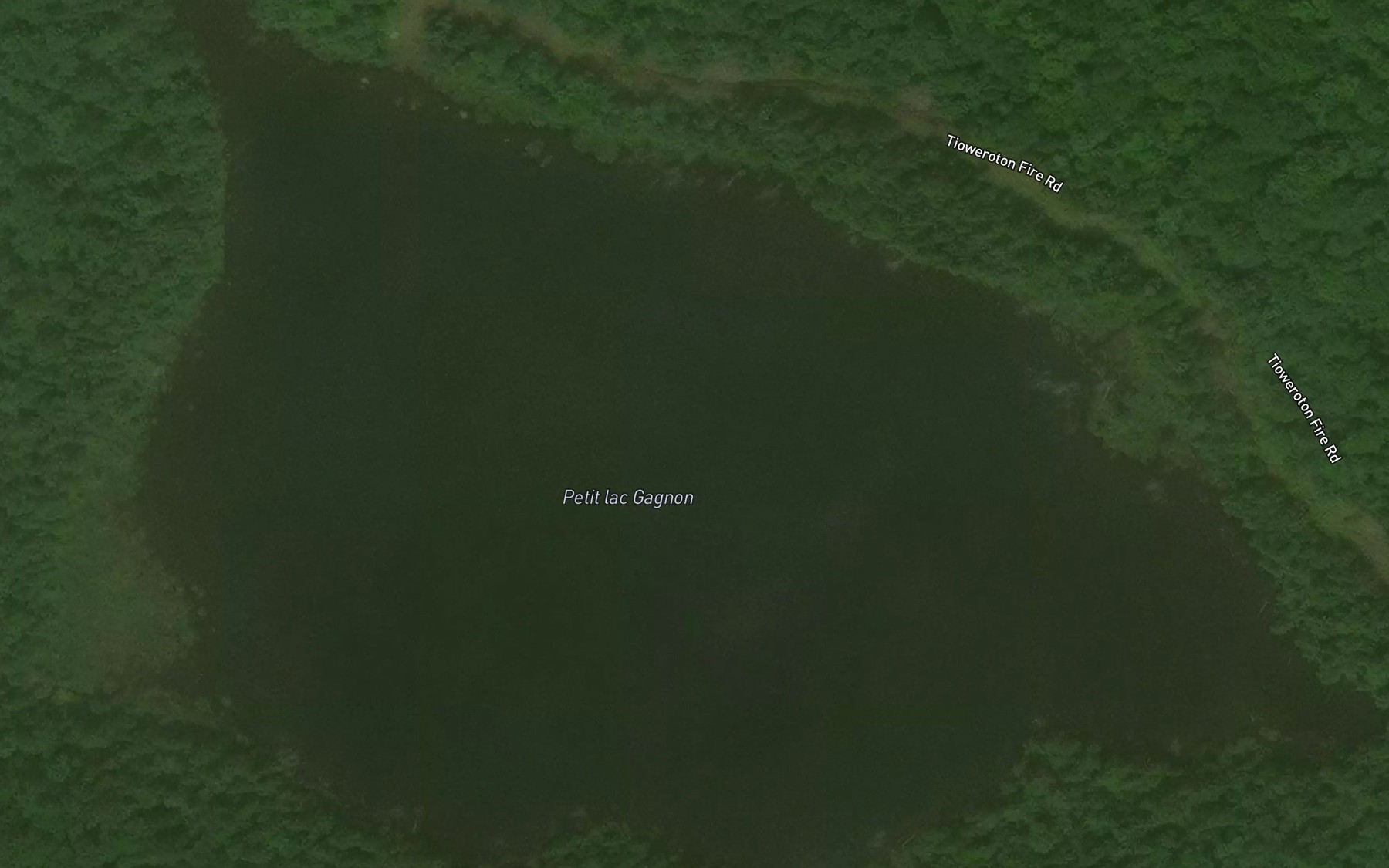 Satellite map of the Petit lac Gagnon