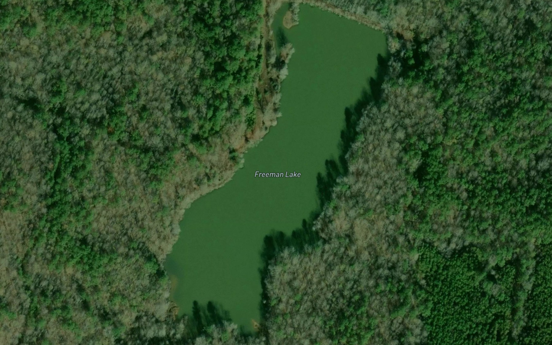 Satellite map of the Freeman Lake