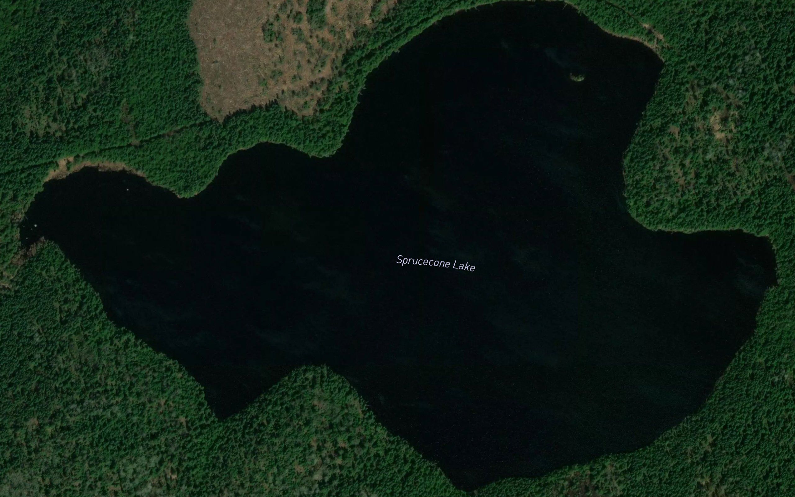 Sprucecone Lake