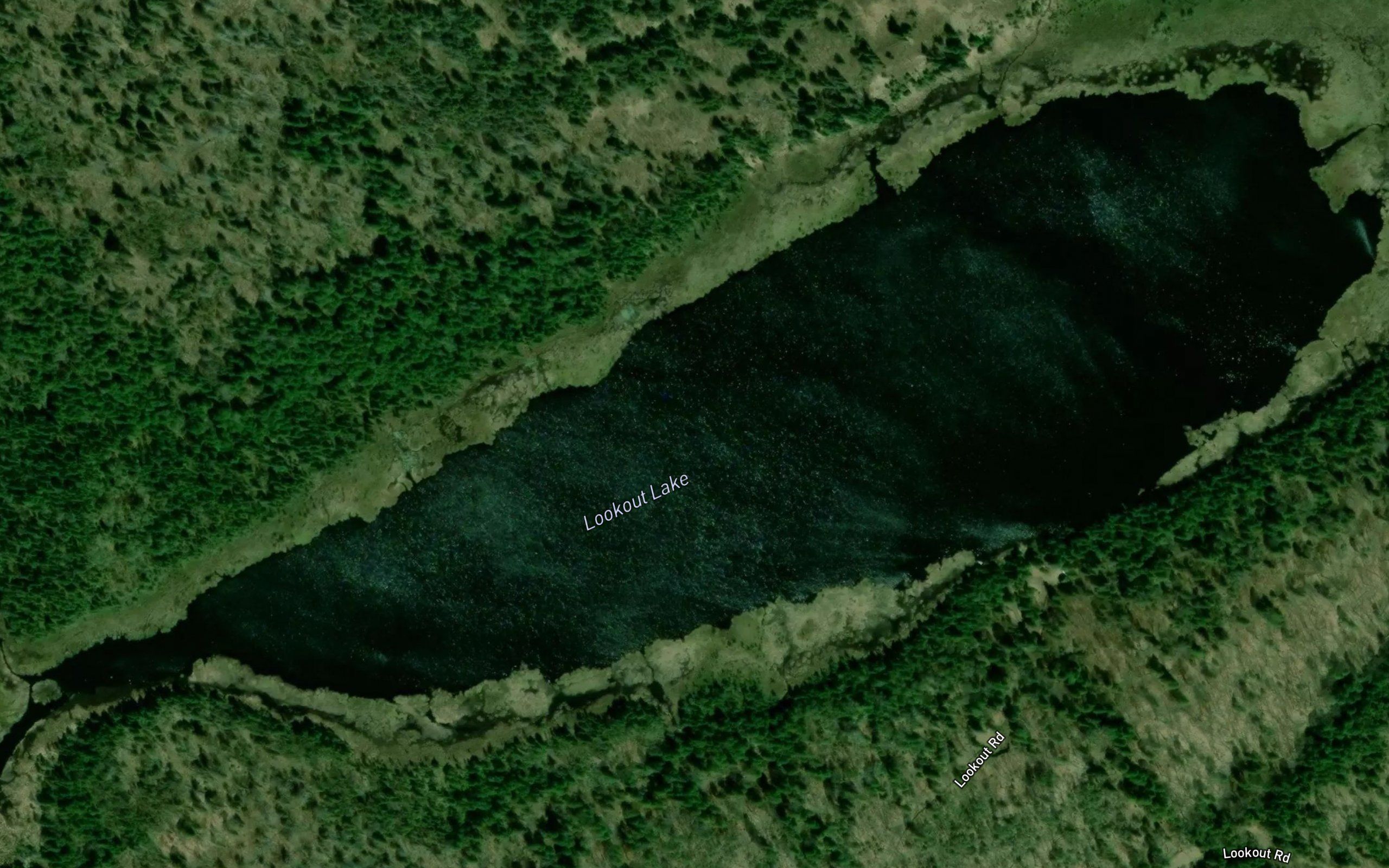 Lookout Lake