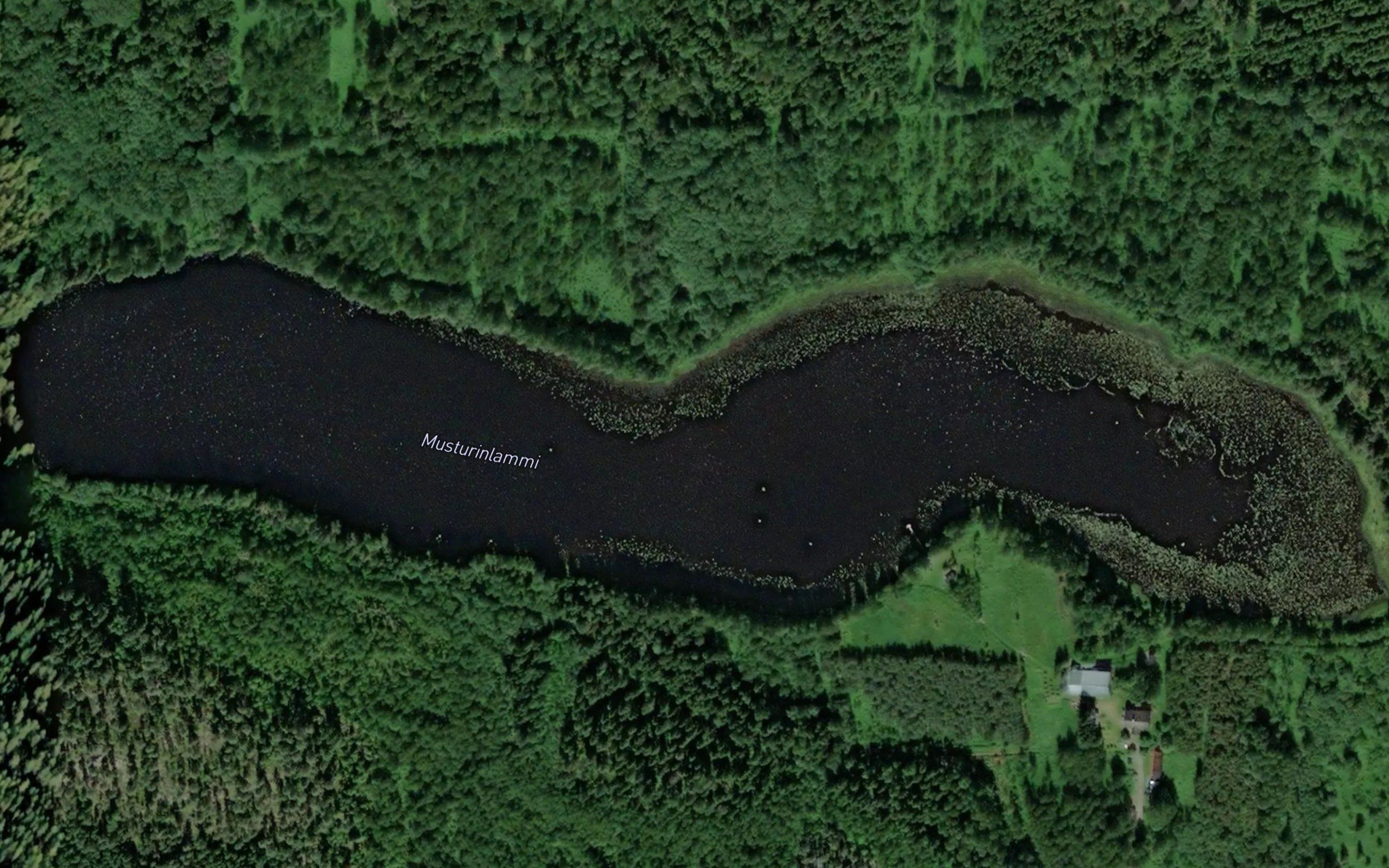 Musturinlammi