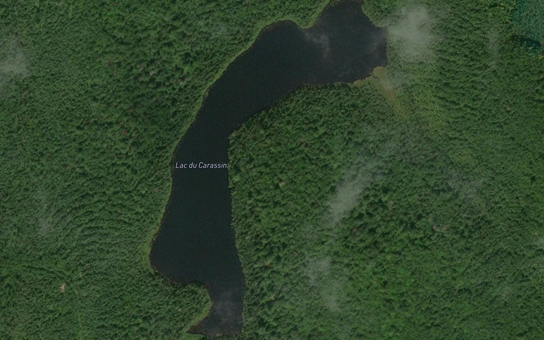 Satellite map of the Lac du Carassin