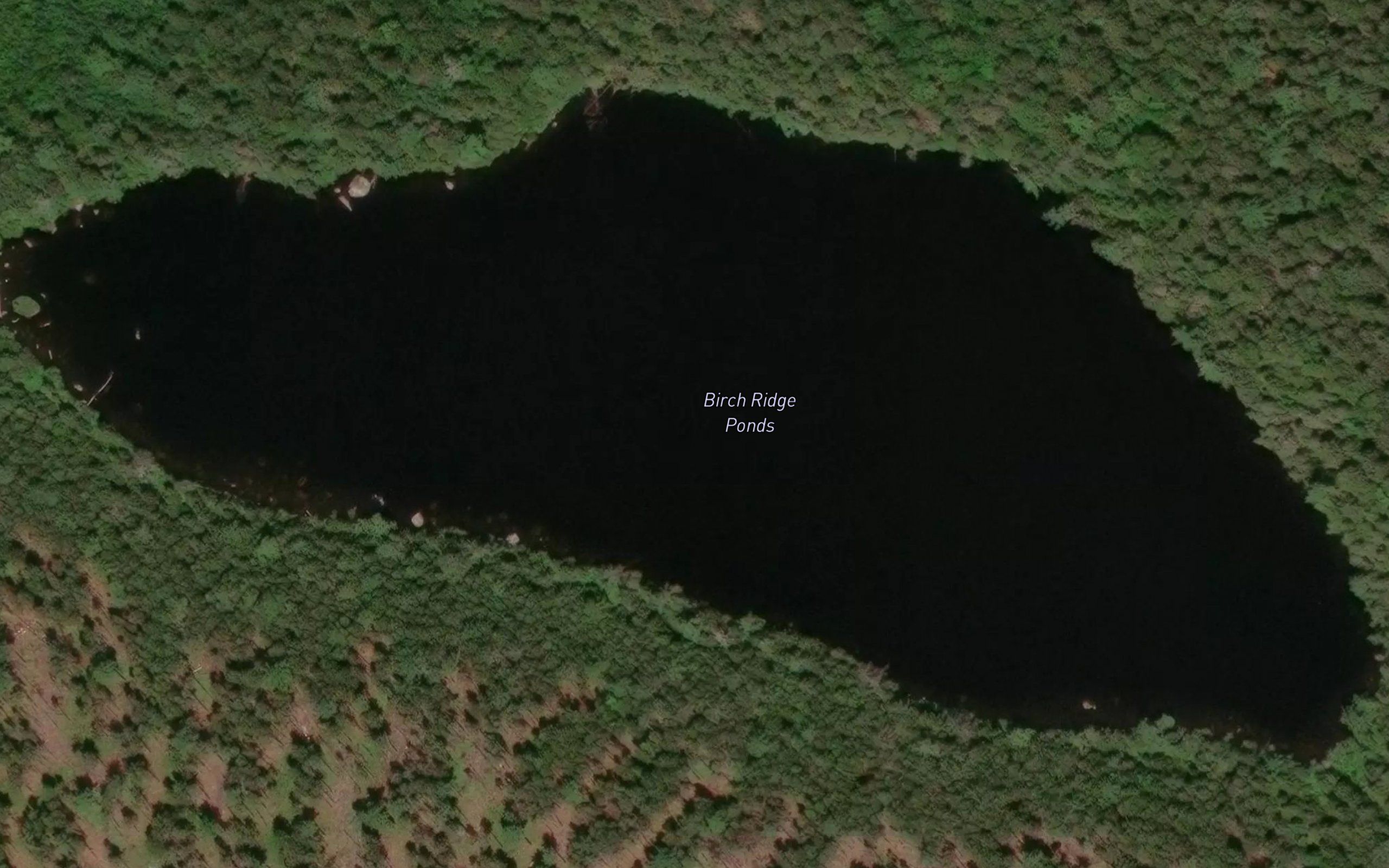 Birch Ridge Ponds