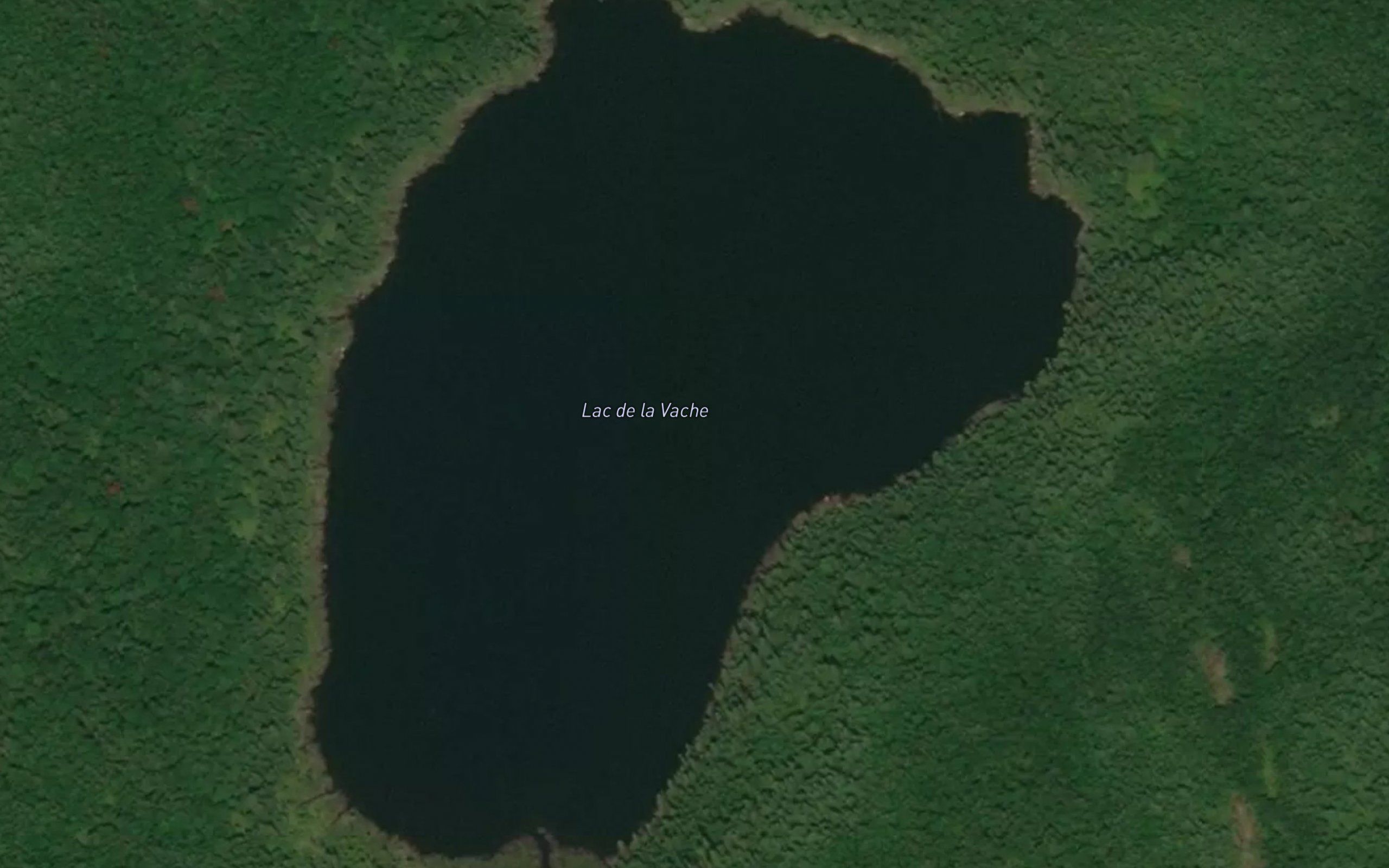 Lac de la Vache
