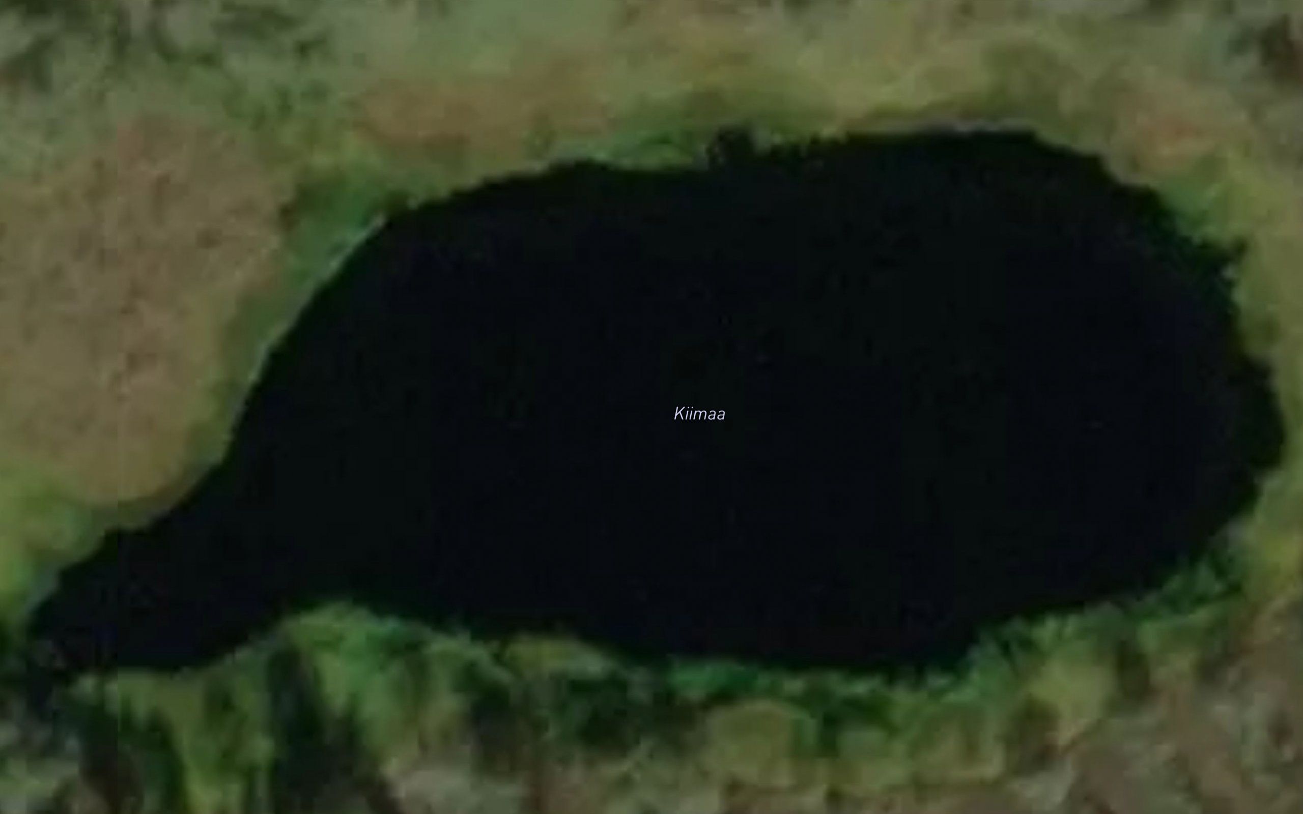 Kiimaa