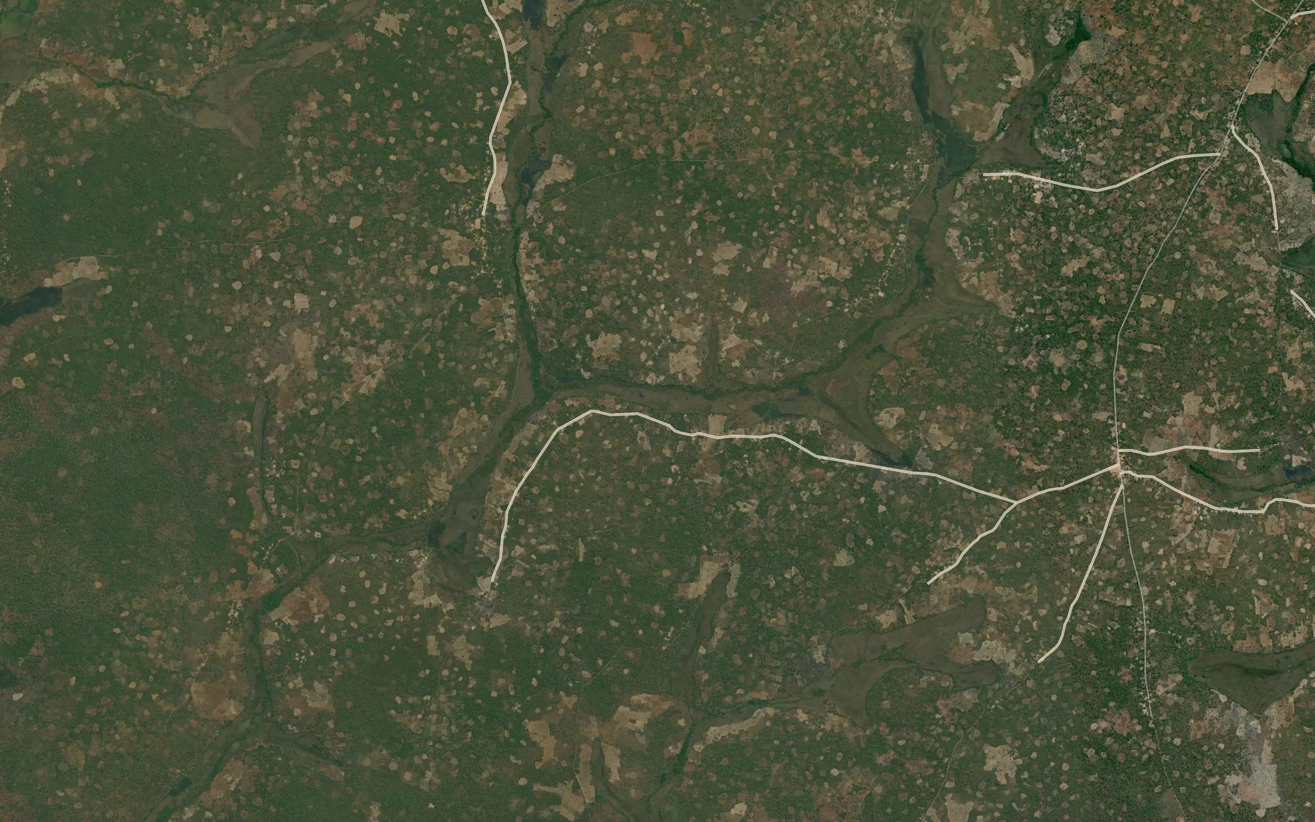 Chinsapa