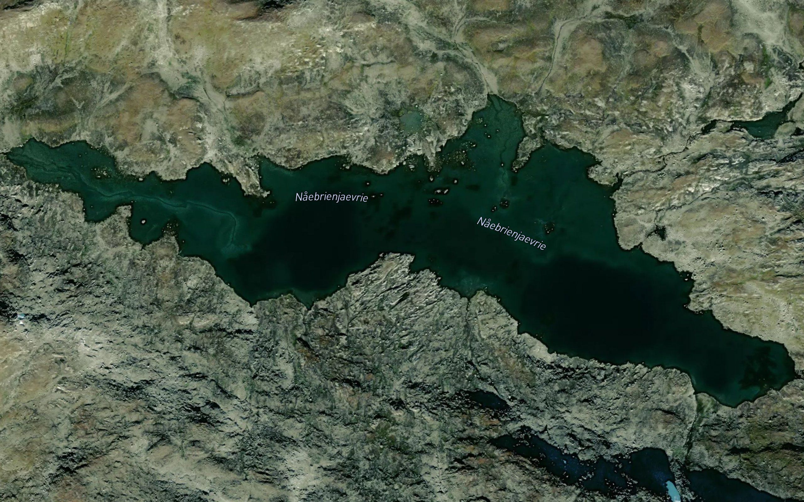 Naebrienjaevrie