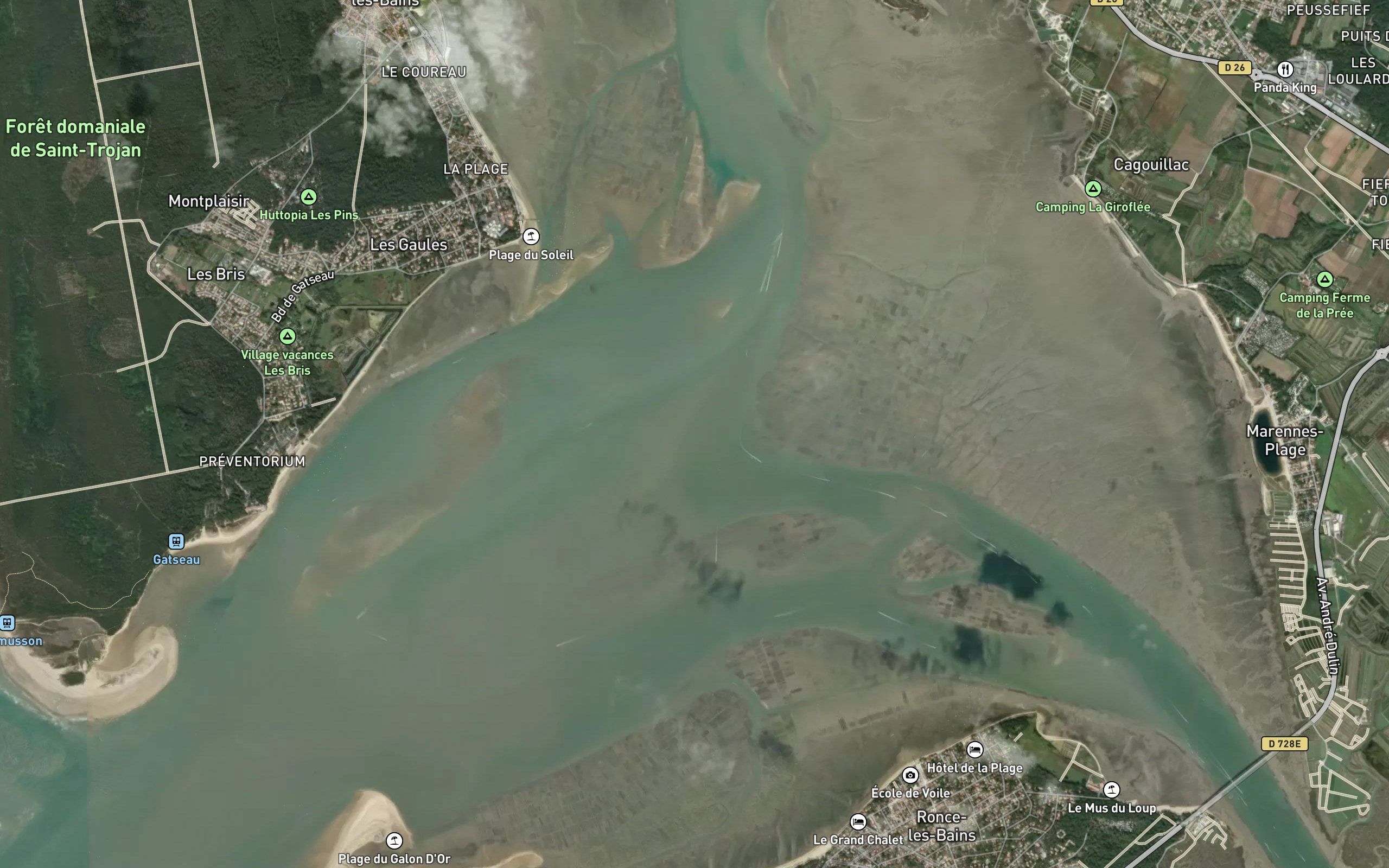 Coureau d'Oleron
