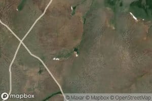 Grasshopper Spring