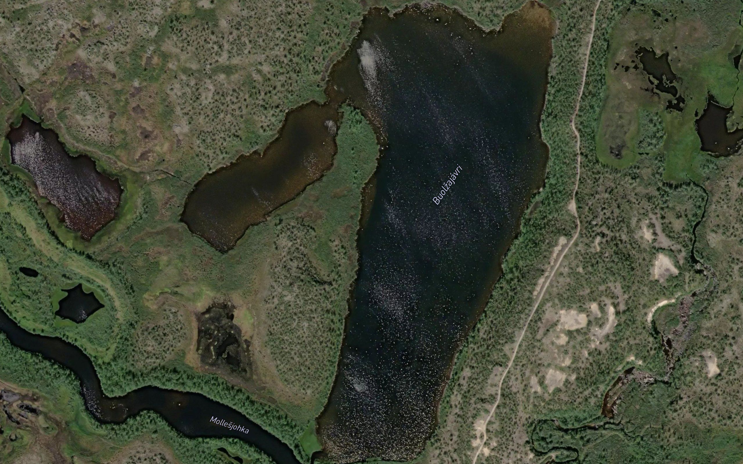 Buolnajavri