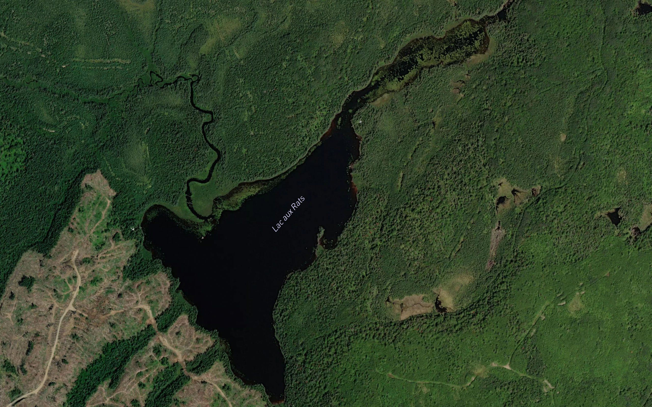Lac aux Rats