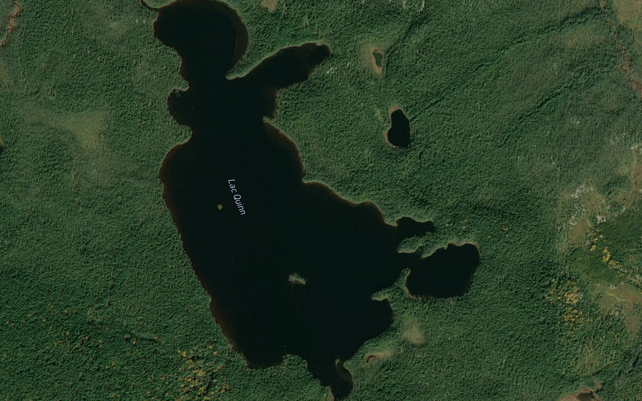 Lac Quinn
