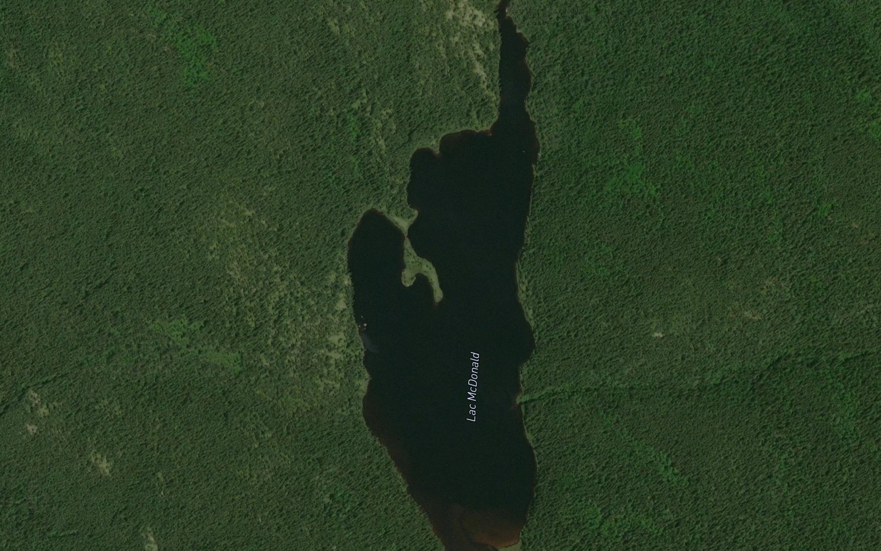 Satellite map of the Lac McDonald