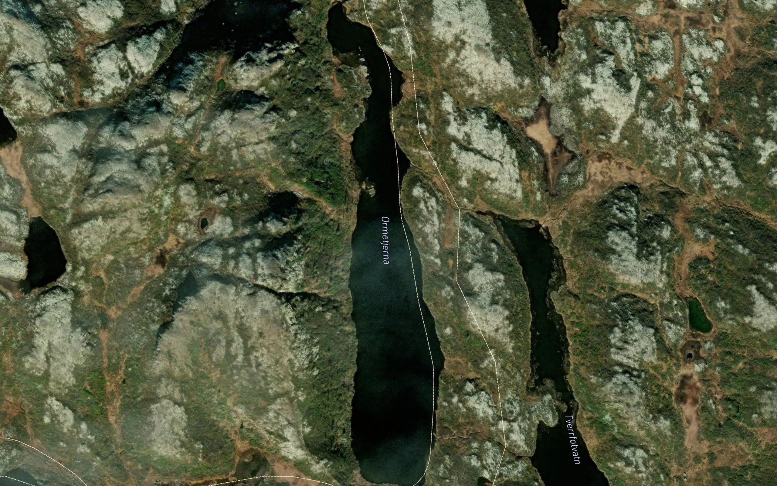 Ormetjerna