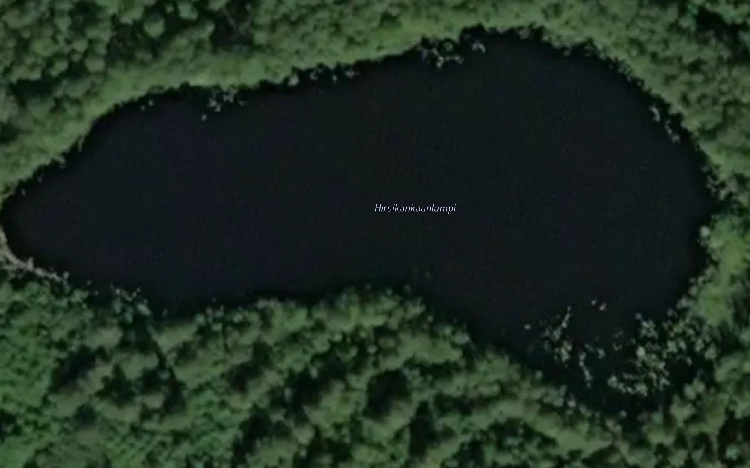 Hirsikankaanlampi