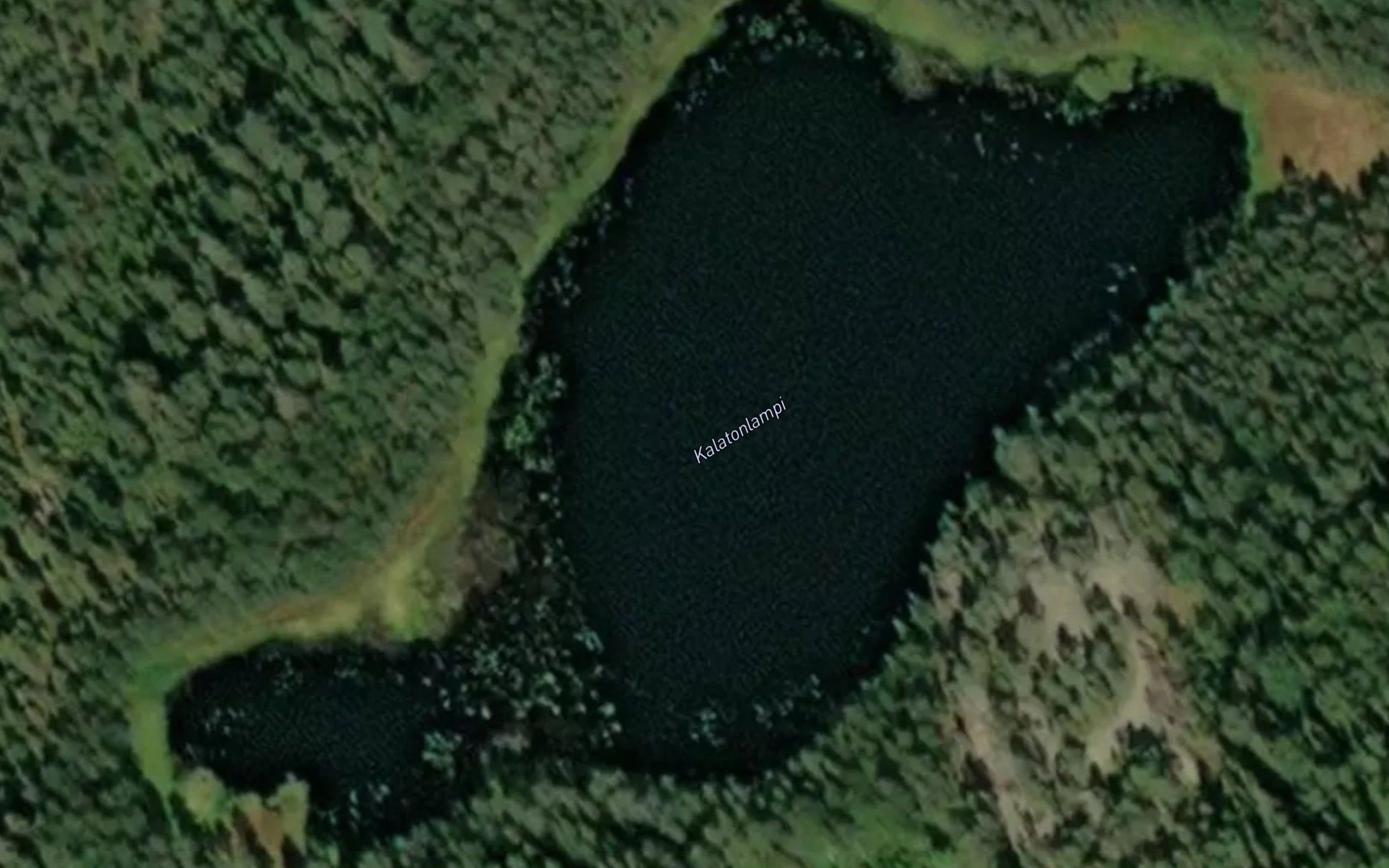 Kalatonlampi