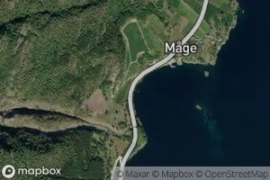 Mageviki