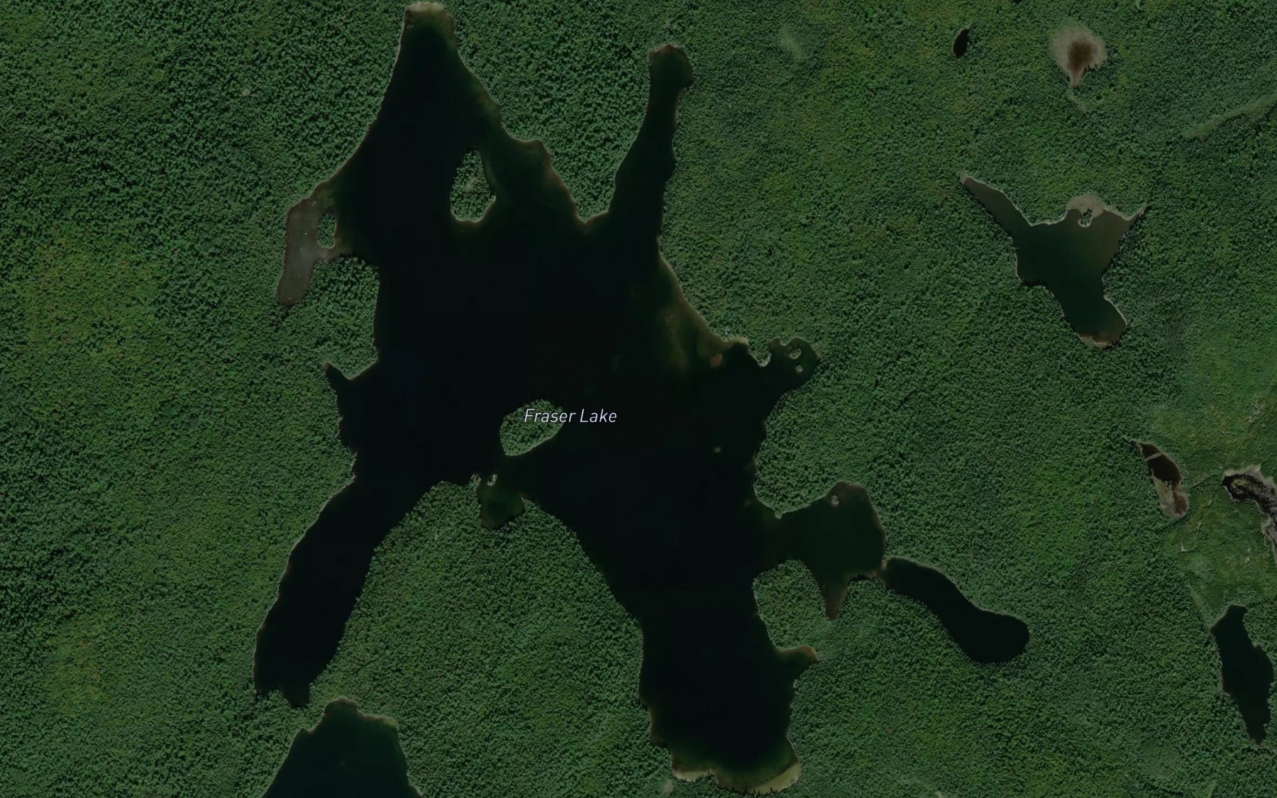 Satellite map of the Fraser Lake
