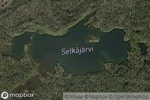 Selgijavri