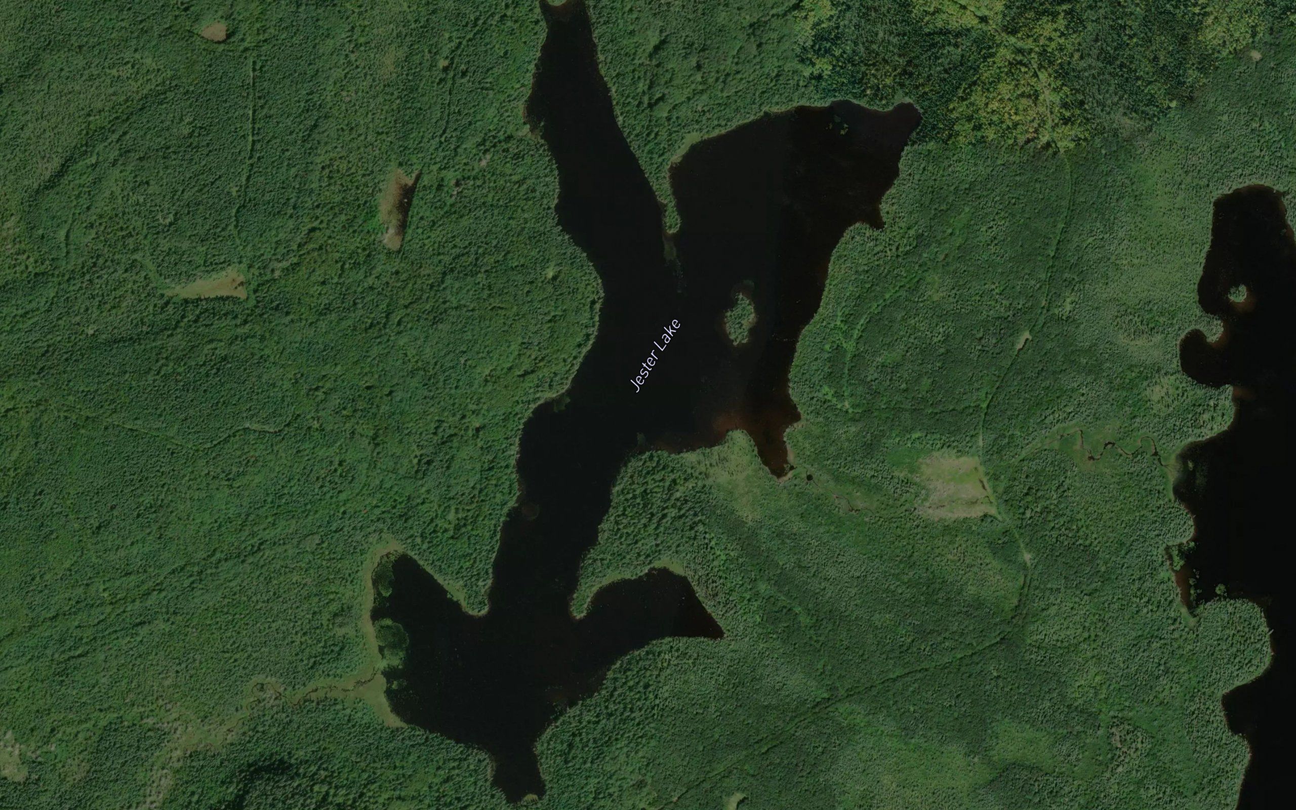 Jester Lake