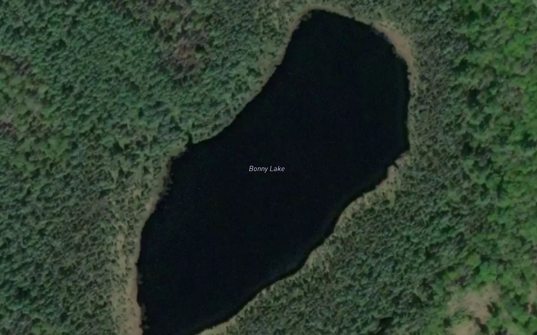 Satellite map of the Bonny Lake