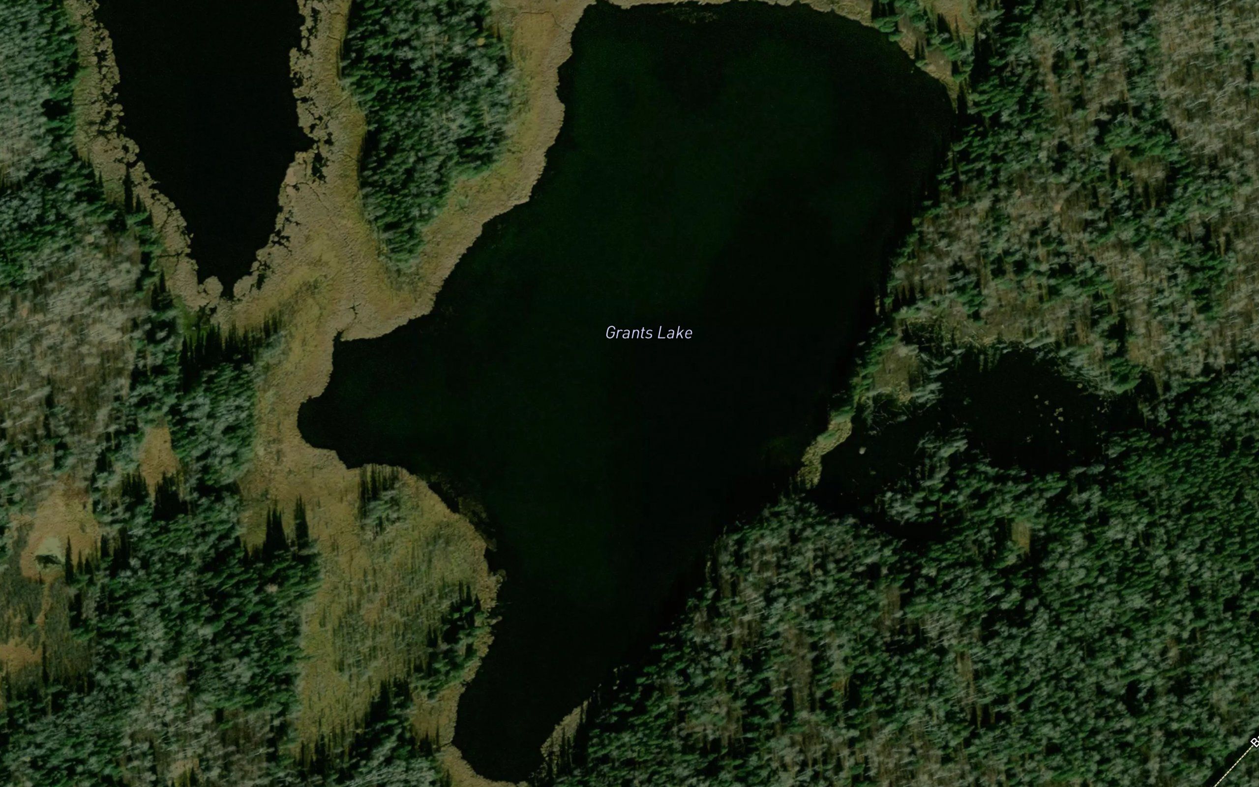 Grants Lake