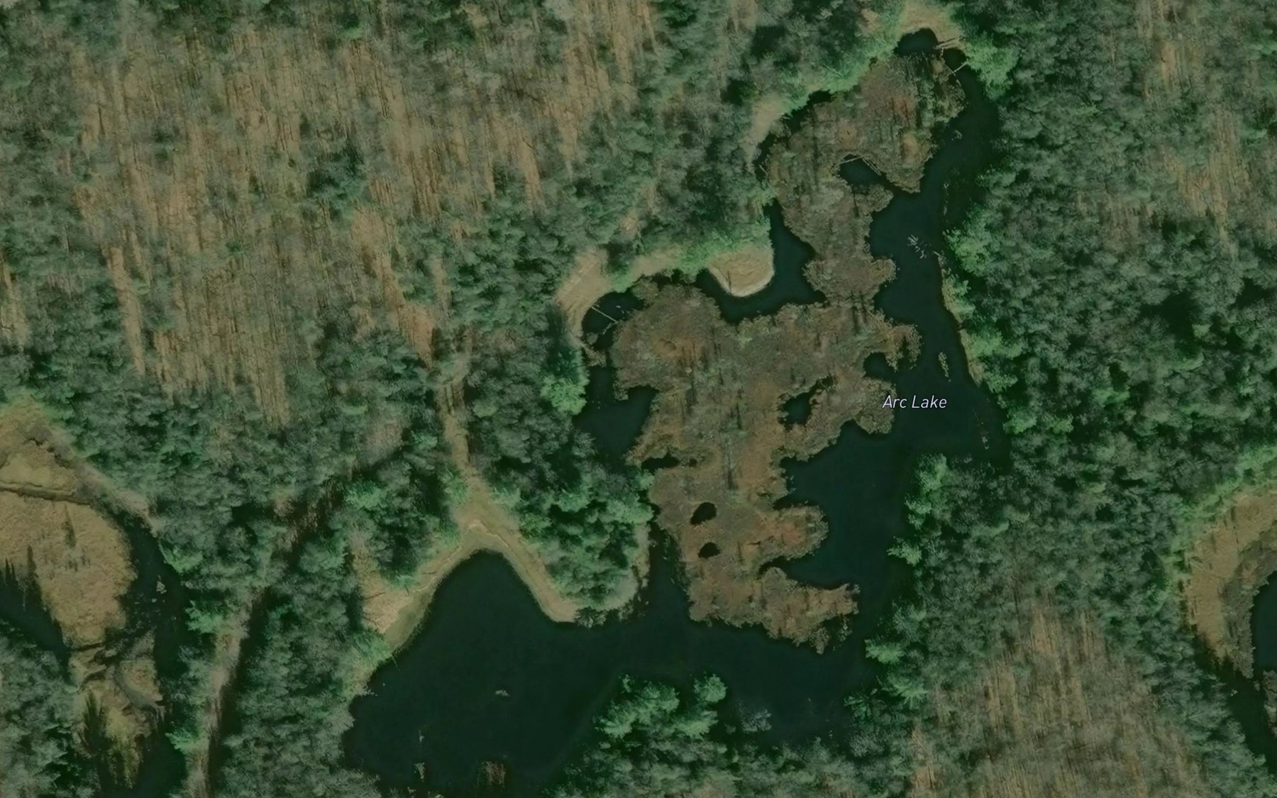Satellite map of the Arc Lake