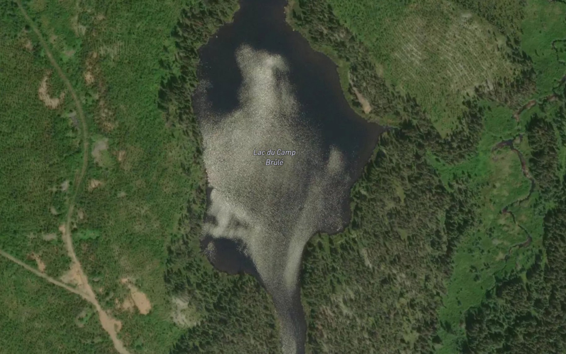 Satellite map of the Lac du Camp Brule