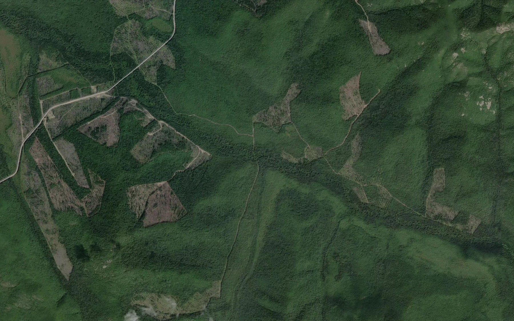 Satellite map of the Gornyy