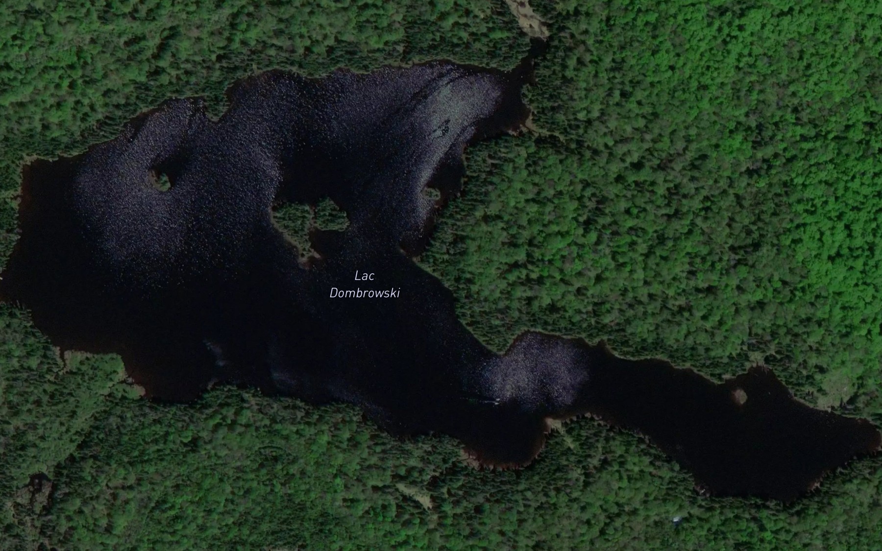 Satellite map of the Lac Dombrowski